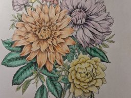 whatsapp bild 2025-11-03 um 17.54.14_a4883eb1